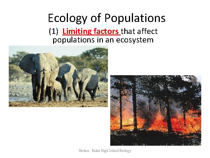 Ecology of Populations (1) Limiting factors that affect populations in an ecosystem Hickox: Baker