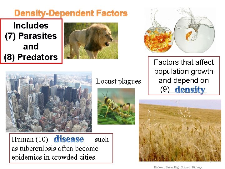 Density-Dependent Factors Includes (7) Parasites and (8) Predators Locust plagues Factors that affect population