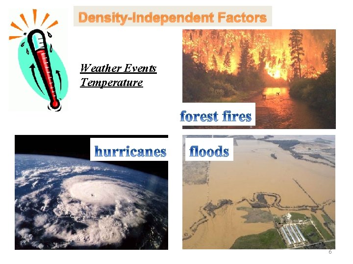 Density-Independent Factors Weather Events Temperature 6 