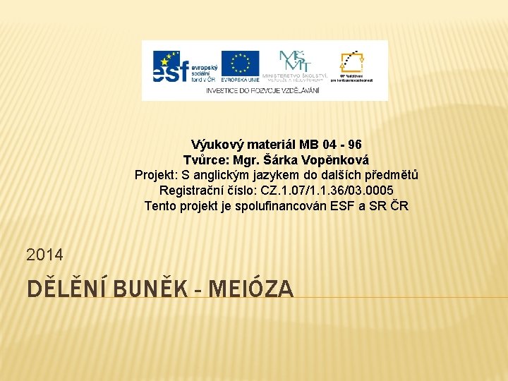 Výukový materiál MB 04 - 96 Tvůrce: Mgr. Šárka Vopěnková Projekt: S anglickým jazykem