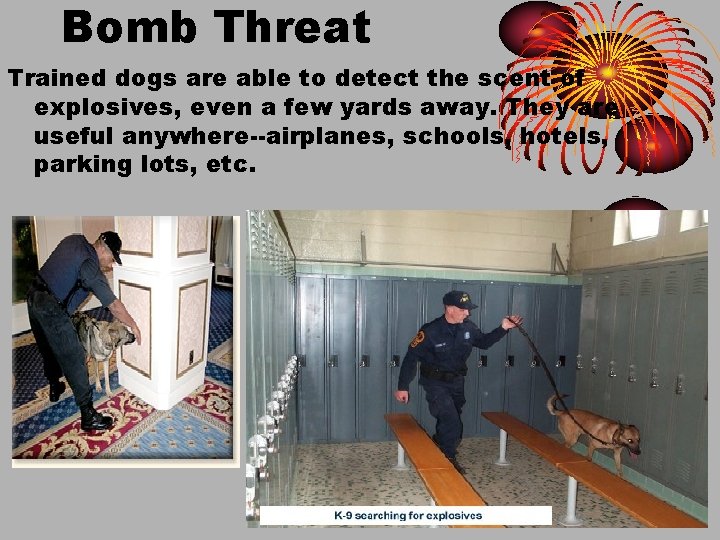 Bomb Threat Trained dogs are able to detect the scent of explosives, even a