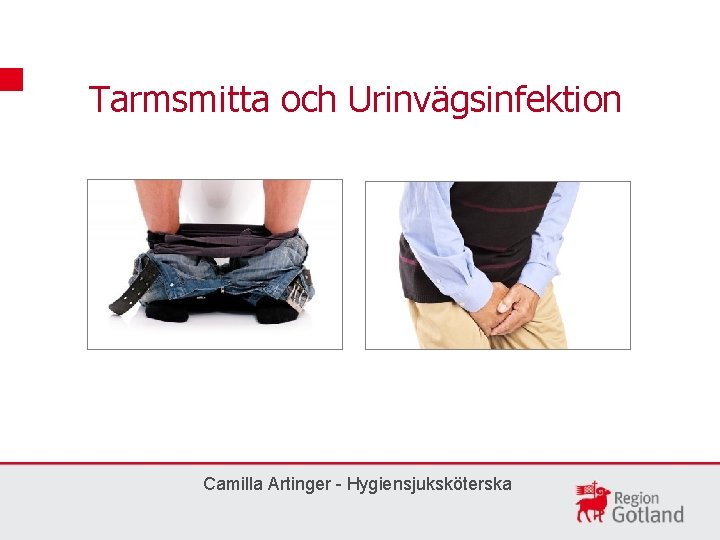Tarmsmitta och Urinvägsinfektion Camilla Artinger - Hygiensjuksköterska 