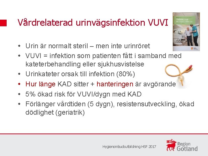 Vårdrelaterad urinvägsinfektion VUVI Urin är normalt steril – men inte urinröret VUVI = infektion