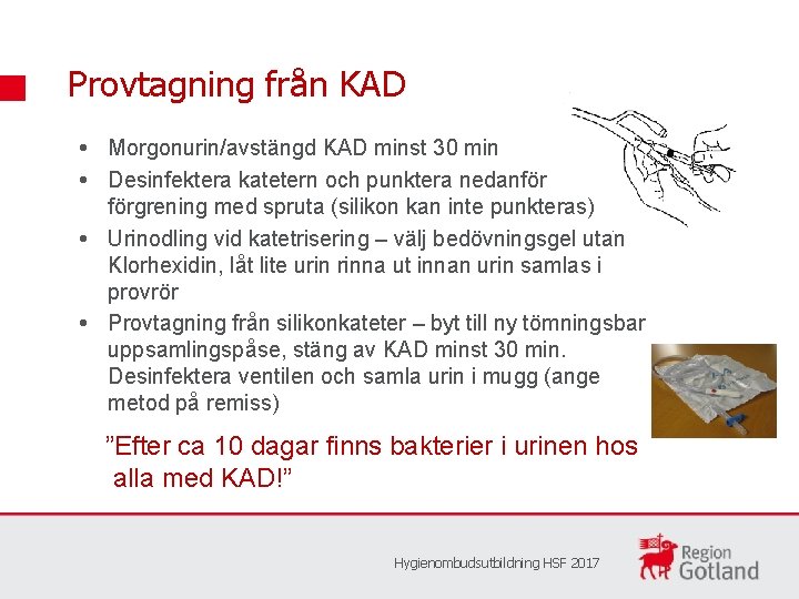 Provtagning från KAD Morgonurin/avstängd KAD minst 30 min Desinfektera katetern och punktera nedanför förgrening