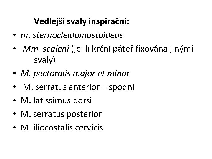  • • Vedlejší svaly inspirační: m. sternocleidomastoideus Mm. scaleni (je–li krční páteř fixována