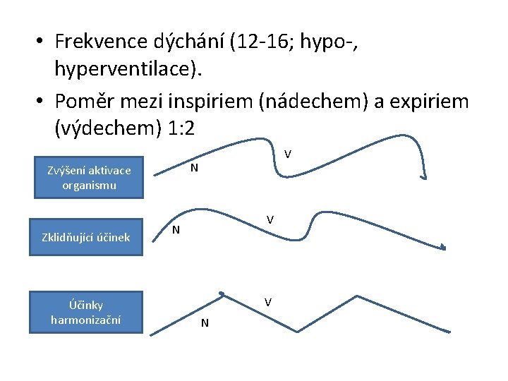  • Frekvence dýchání (12 -16; hypo-, hyperventilace). • Poměr mezi inspiriem (nádechem) a