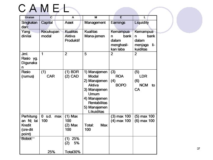 CAMEL 37 