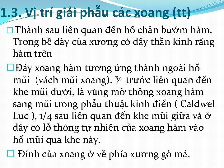 1. 3. Vị trí giải phẫu các xoang (tt) � Thành sau liên quan
