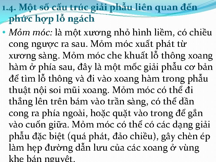 1. 4. Một số cấu trúc giải phẫu liên quan đến phức hợp lỗ