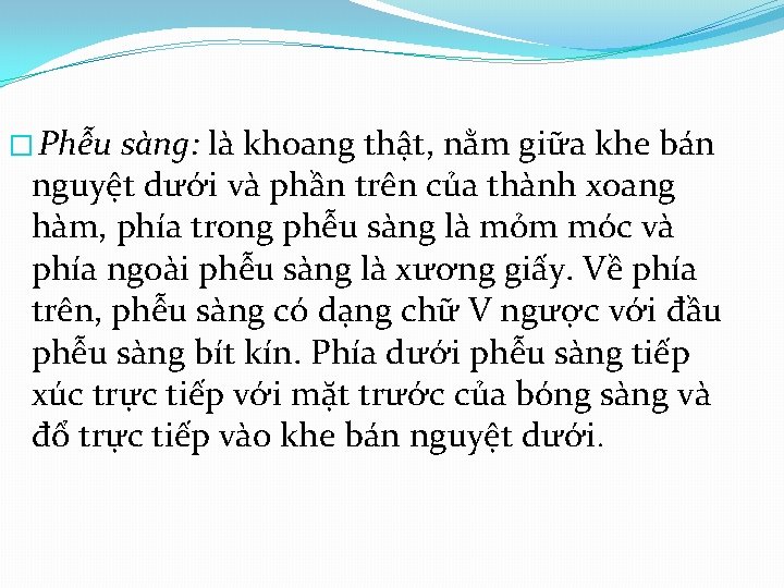 � Phễu sàng: là khoang thật, nằm giữa khe bán nguyệt dưới và phần