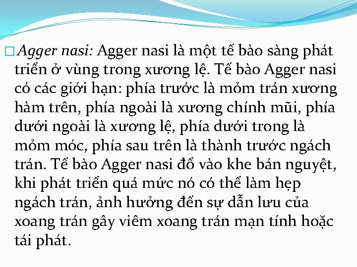 � Agger nasi: Agger nasi là một tế bào sàng phát triển ở vùng