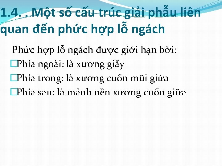 1. 4. . Một số cấu trúc giải phẫu liên quan đến phức hợp