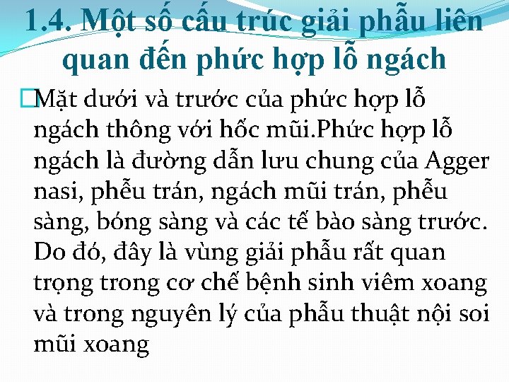 1. 4. Một số cấu trúc giải phẫu liên quan đến phức hợp lỗ