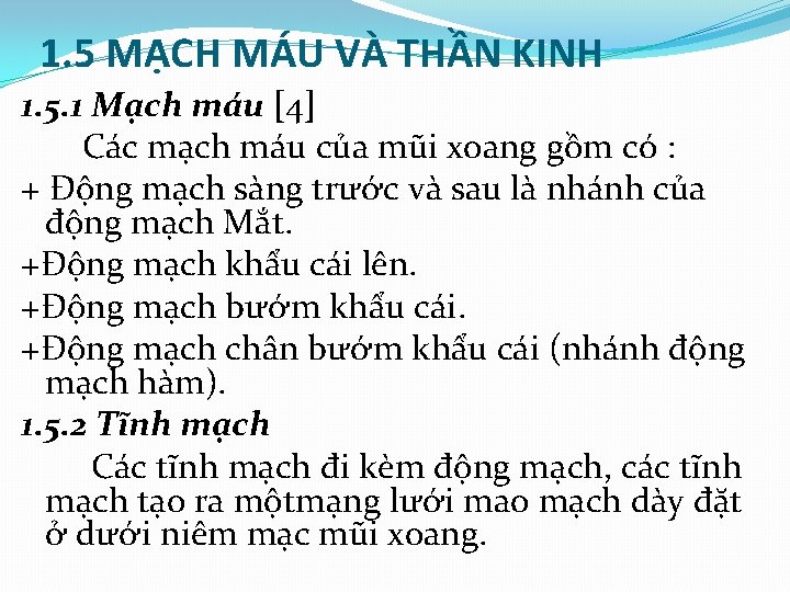 1. 5 MẠCH MÁU VÀ THẦN KINH 1. 5. 1 Mạch máu [4] Các