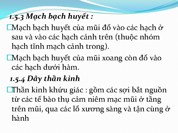  1. 5. 3 Mạch bạch huyết : �Mạch bạch huyết của mũi đổ