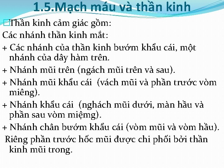 1. 5. Mạch máu và thần kinh �Thần kinh cảm giác gồm: Các nhánh