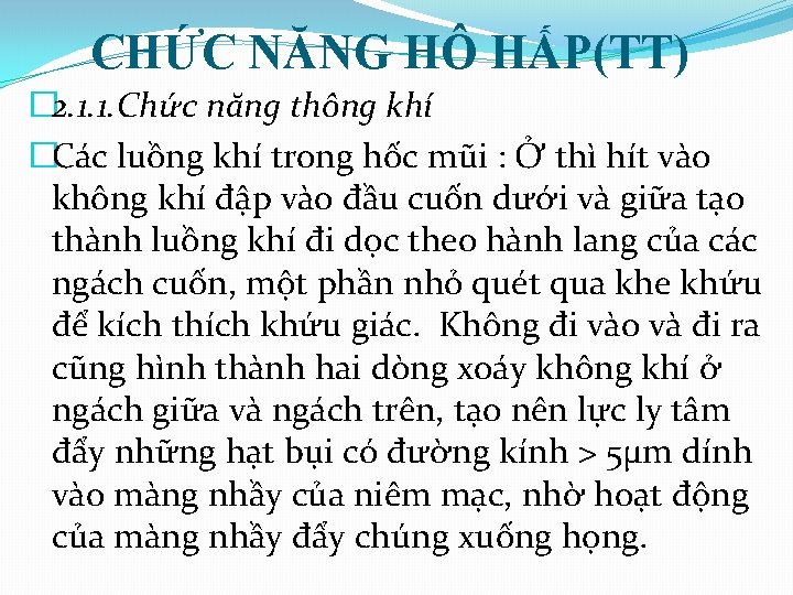 CHỨC NĂNG HÔ HẤP(TT) � 2. 1. 1. Chức năng thông khí �Các luồng