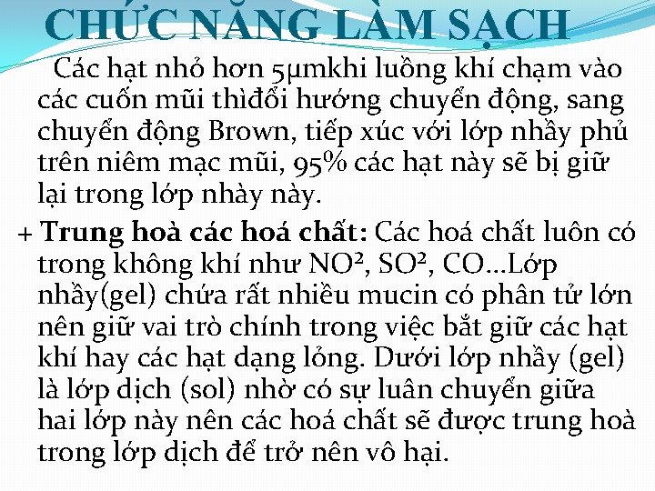 CHỨC NĂNG LÀM SẠCH Các hạt nhỏ hơn 5μmkhi luồng khí chạm vào các