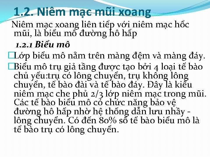  1. 2. Niêm mạc mũi xoang Niêm mạc xoang liên tiếp với niêm