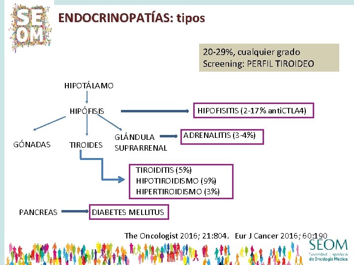 ENDOCRINOPATÍAS: tipos 20 -29%, cualquier grado Screening: PERFIL TIROIDEO HIPOTÁLAMO HIPOFISITIS (2 -17% anti.