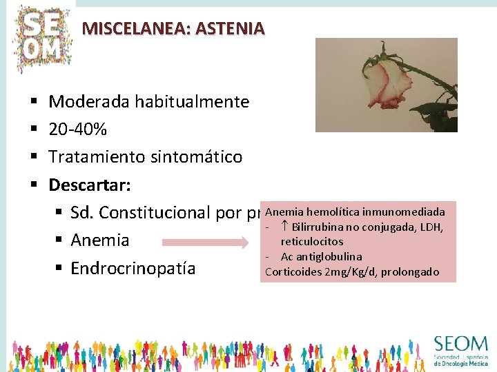 MISCELANEA: ASTENIA § § Moderada habitualmente 20 -40% Tratamiento sintomático Descartar: Anemia hemolítica inmunomediada