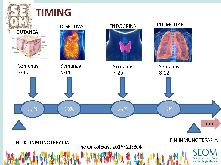 TIMING CUTANEA Semanas 2 -10 50% DIGESTIVA ENDOCRINA PULMONAR Semanas 5 -14 Semanas 7