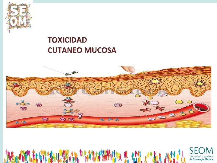 TOXICIDAD CUTANEO MUCOSA 