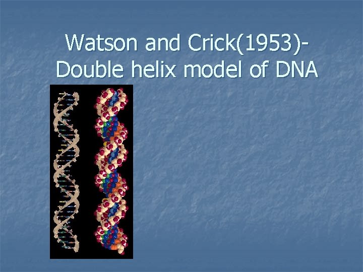 Watson and Crick(1953)Double helix model of DNA 