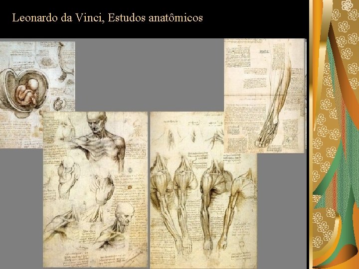 Leonardo da Vinci, Estudos anatômicos 