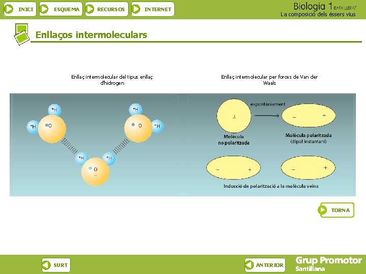 INICI ESQUEMA RECURSOS INTERNET La composició dels éssers vius Enllaços intermoleculars Enllaç intermolecular del