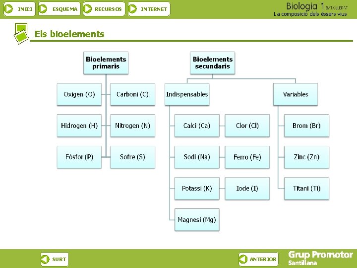 INICI ESQUEMA RECURSOS INTERNET La composició dels éssers vius Els bioelements SURT ANTERIOR 