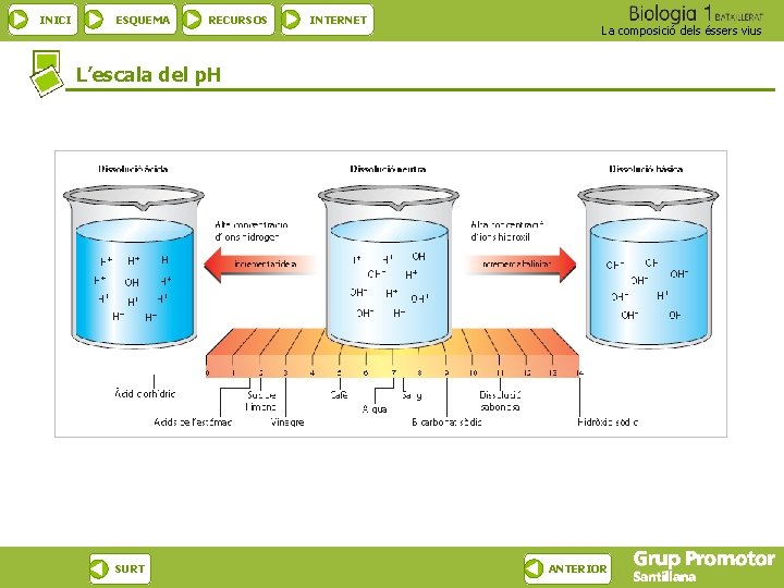 INICI ESQUEMA RECURSOS INTERNET La composició dels éssers vius L’escala del p. H SURT