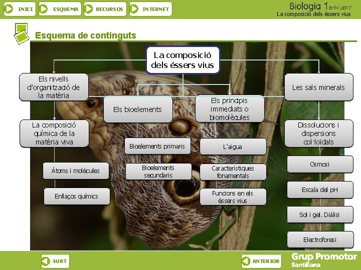 INICI ESQUEMA RECURSOS INTERNET La composició dels éssers vius Esquema de continguts La composició