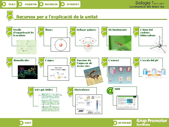 INICI ESQUEMA RECURSOS INTERNET La composició dels éssers vius Recursos per a l’explicació de