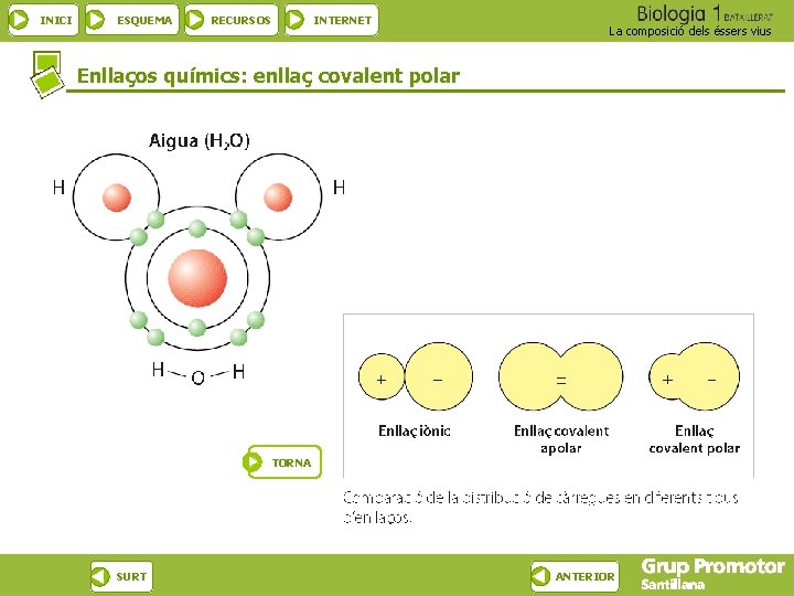 INICI ESQUEMA RECURSOS INTERNET La composició dels éssers vius Enllaços químics: enllaç covalent polar