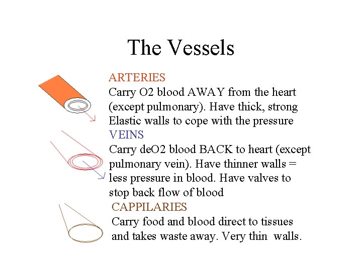 The Vessels ARTERIES Carry O 2 blood AWAY from the heart (except pulmonary). Have