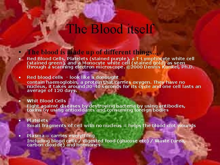 The Blood itself • The blood is made up of different things…. • Red