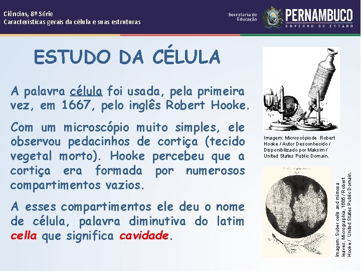 Ciências, 8º Série Características gerais da célula e suas estruturas ESTUDO DA CÉLULA A