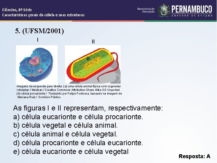 Ciências, 8º Série Características gerais da célula e suas estruturas 5. (UFSM/2001) I II
