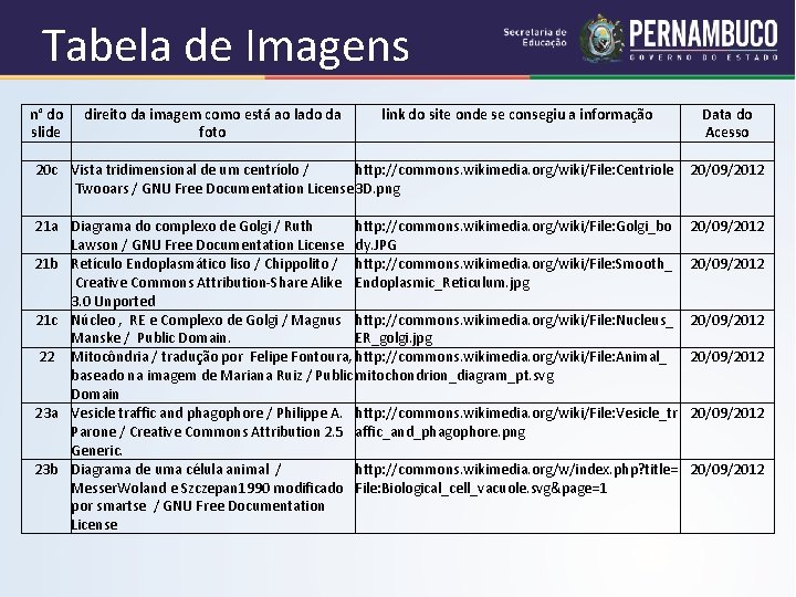 Tabela de Imagens n° do direito da imagem como está ao lado da link