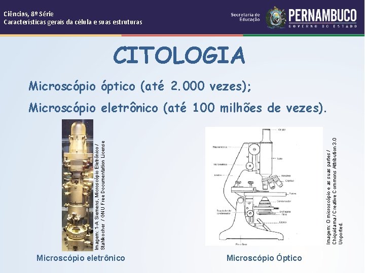 Ciências, 8º Série Características gerais da célula e suas estruturas CITOLOGIA Microscópio óptico (até