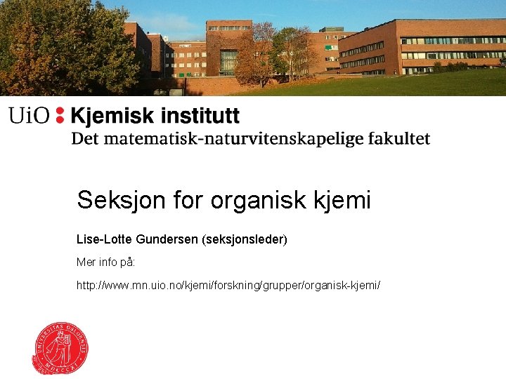 Seksjon for organisk kjemi Lise-Lotte Gundersen (seksjonsleder) Mer info på: http: //www. mn. uio.
