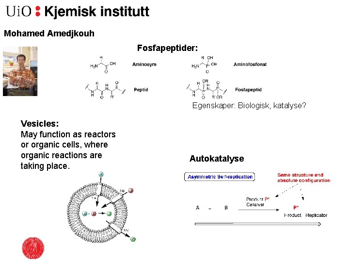 Mohamed Amedjkouh Fosfapeptider: Egenskaper: Biologisk, katalyse? Vesicles: May function as reactors or organic cells,