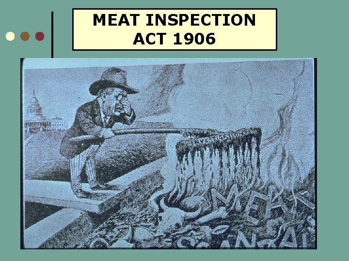MEAT INSPECTION ACT 1906 