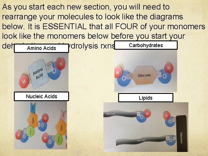 As you start each new section, you will need to rearrange your molecules to