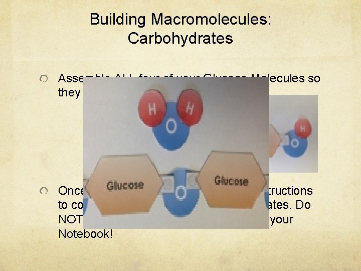 Building Macromolecules: Carbohydrates Assemble ALL four of your Glucose Molecules so they look like