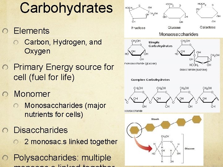 Carbohydrates Elements Carbon, Hydrogen, and Oxygen Primary Energy source for cell (fuel for life)