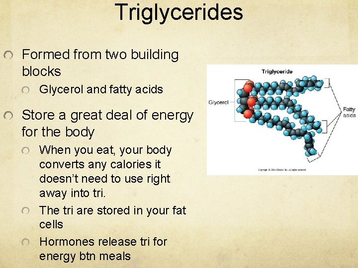 Triglycerides Formed from two building blocks Glycerol and fatty acids Store a great deal