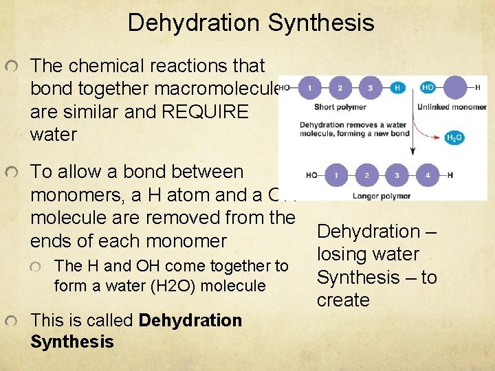 Dehydration Synthesis The chemical reactions that bond together macromolecules are similar and REQUIRE water