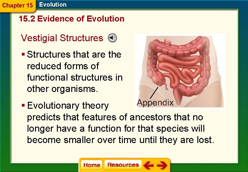 Chapter 15 Evolution 15. 2 Evidence of Evolution Vestigial Structures § Structures that are